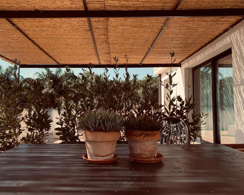 Holiday home Petrasicula *